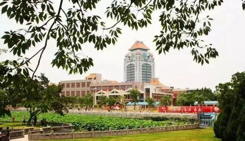 旅行過年 春節來廈門,這些地方必去不可