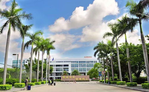 廈門南洋學(xué)院對漳浦人招生啦,這個(gè)專業(yè)很適合咱漳浦人