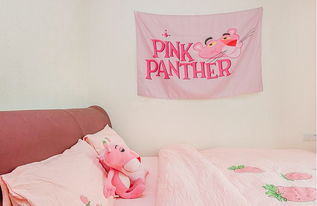 小黑妞の鷺島游學之旅丨十種打開廈門的方式