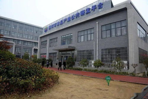 國家農(nóng)業(yè)農(nóng)村部部長唐仁健 漯河食品職業(yè)學(xué)院 產(chǎn) 學(xué) 研 創(chuàng) 融合發(fā)展模式值得推廣