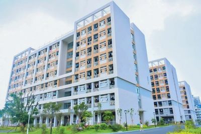 閩西職院、黎大、廈門南洋學(xué)院解讀2021年高職分類考試招生政策!