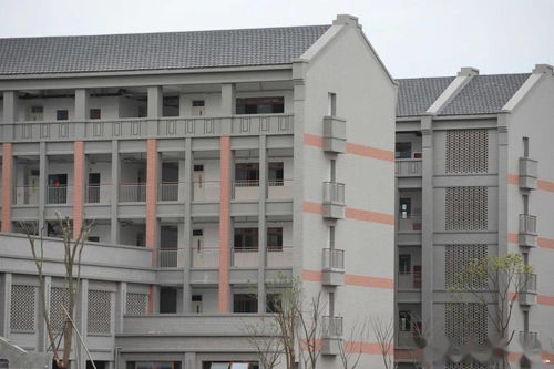 實景圖曝光 應(yīng)麟書院 寧波藝術(shù)實驗學(xué)校明湖校區(qū)長這樣 還有兩所家長期待的 書院 9月使用