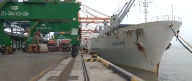 通關(guān)便利化 廈門口岸水海產(chǎn)品進(jìn)口量增長(zhǎng)迅速