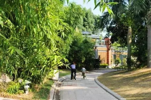 廈門的這些玩法,種種不重樣,讓你不愛上廈門都難