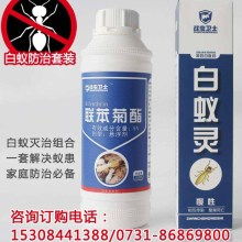 廈門南洋風情 東西方文化的交匯之地