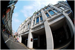 廈門南洋風情與必游景點攻略 探尋鷺島魅力